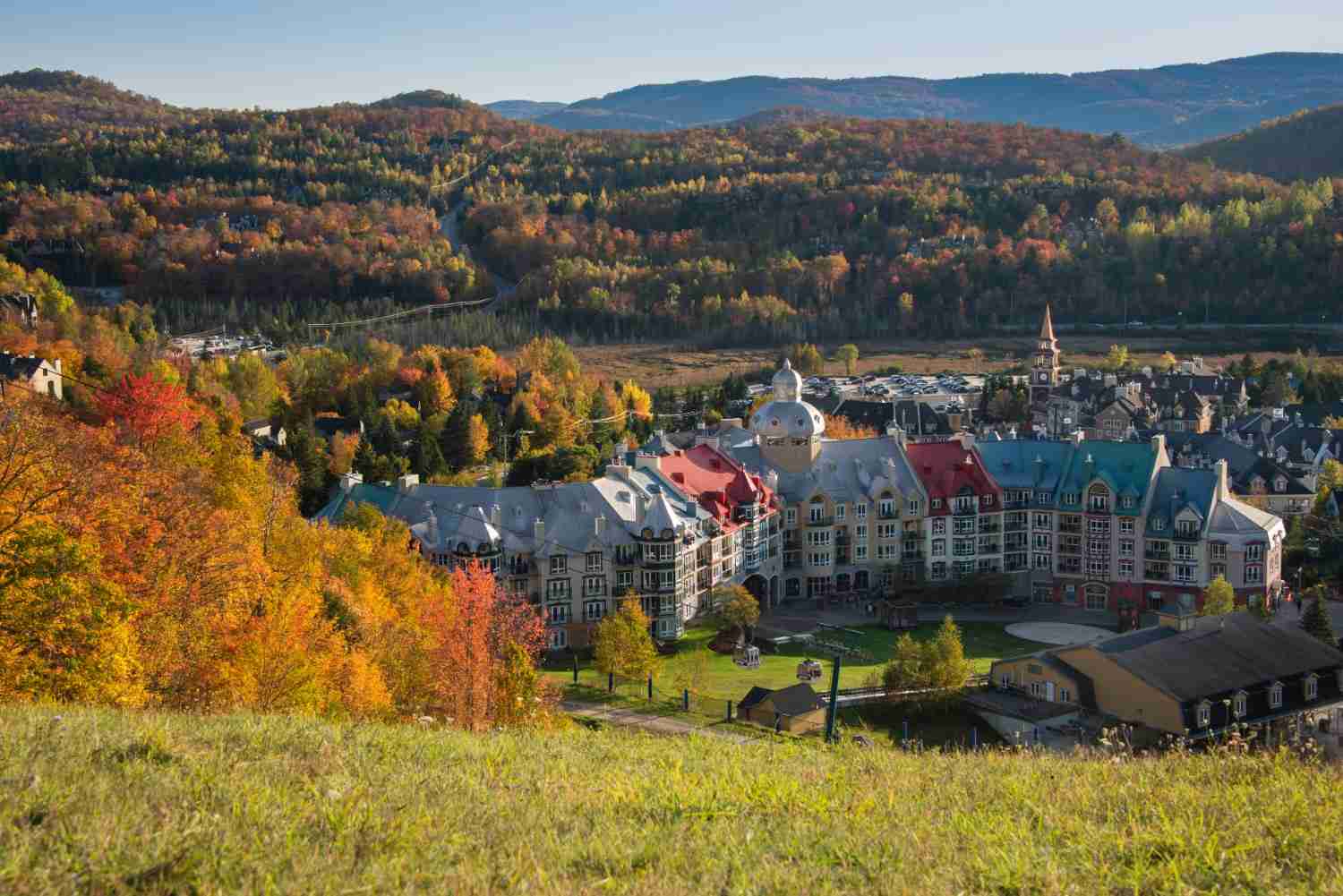 Trusted DNA Testing Services in Spearfish, SD